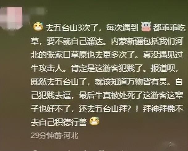 景区回应踩踏事件！游客徒步遭牛群踩，真相曝光网友骂活该