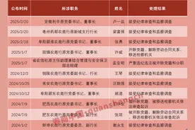 又见农商行“一把手”落马，安徽农信系统改革起步图片