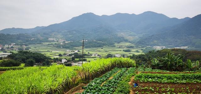 山居秋雨