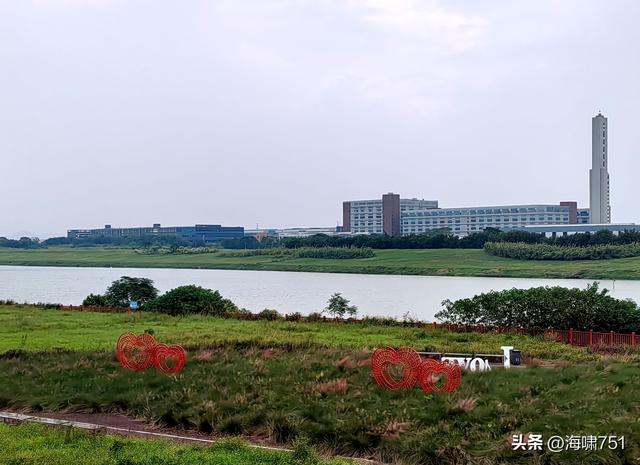 佛山三水芦苞花海生态公园