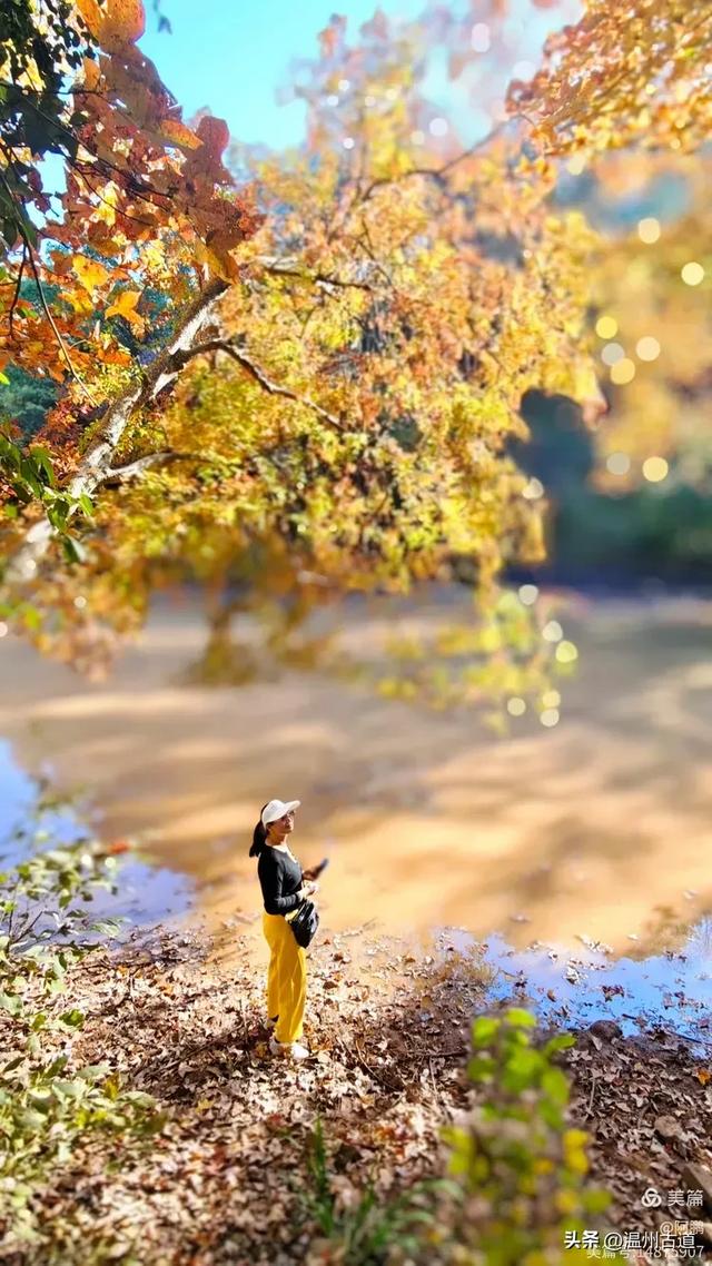 秋染浙西，邂逅烂柯仙境的绝美风光！
