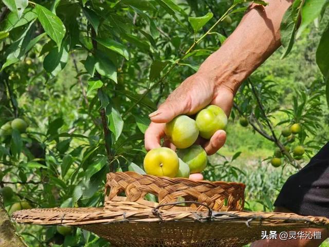 印江“丰”景如画