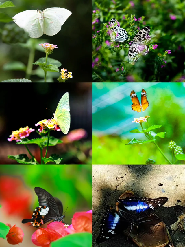 原来真的有城市，可以一天24小时都快乐~（2）