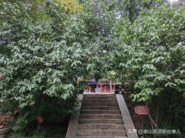 泰安：泰山凌汉峰下有一景点，一井一梅一禅院，两段风云两种修行