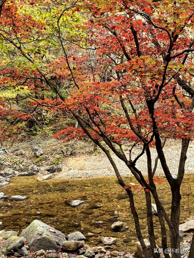 2025辽宁赏秋之旅日记(2)——游览丹东蒲石河森林公园