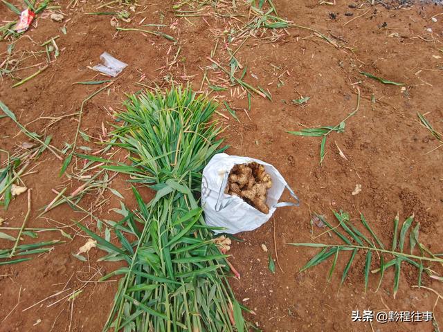 偏远乡野中寻找一个古寺遗址，探险一个深邃溶洞