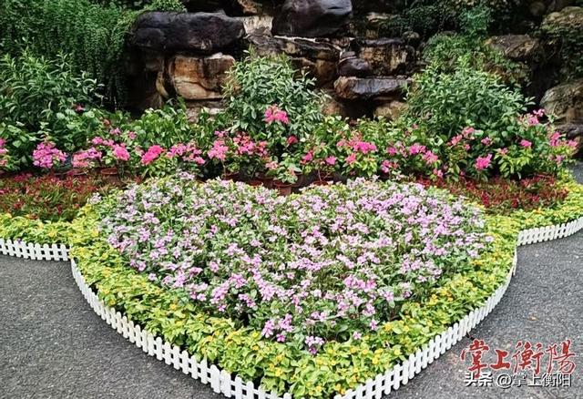 衡阳公园景区广场装扮一新，盛装迎“双节”