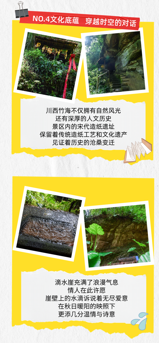 邂逅竹海秋日，解锁25℃的绿意仙境！