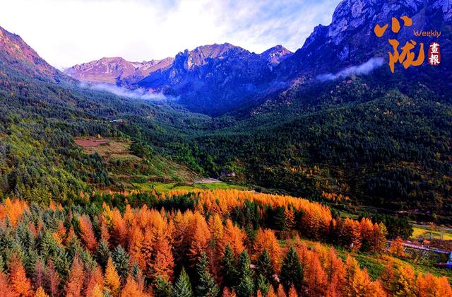 【小陇画报·439期】舟曲：绚丽赛尔布 斑斓满眼秋