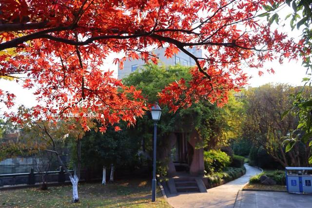 浙江宁波这处风景的秋色堪比诗画，人少景幽休闲很惬意，值得推荐