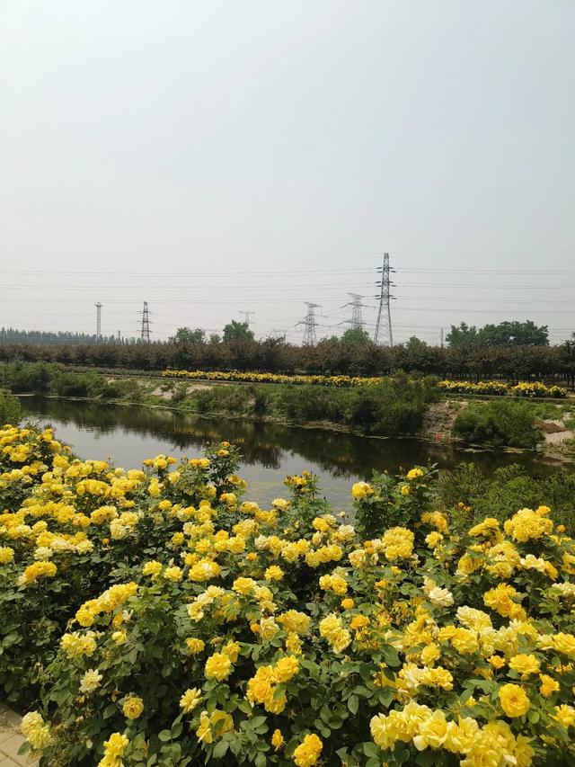 天津又一新建的公园~《山水花苑》
