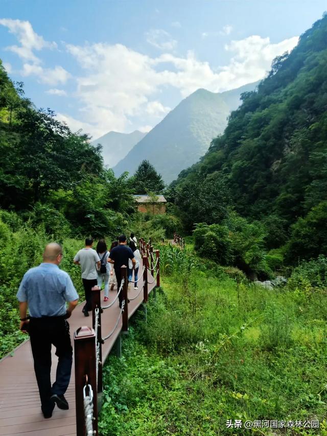 坐落于秦岭深处的黑河森林公园,正美得更肆无忌惮