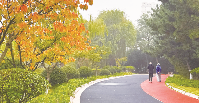 日照秋韵 一笺诗意入画来