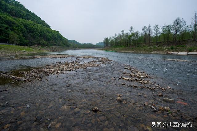 第3，皖南川藏线自驾游，红杉林偶遇小可爱脱衣服，我要不要帮忙