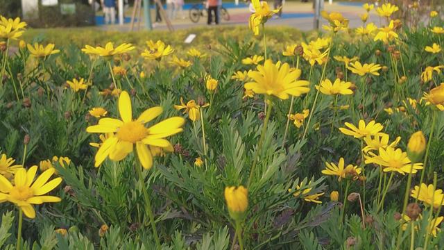 新型城市公园 邀您来打卡