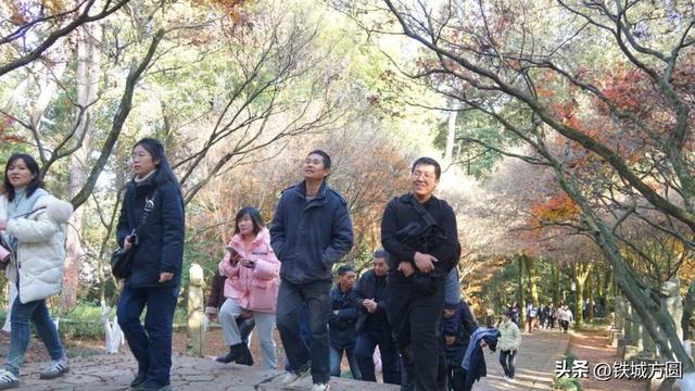 国网邵武市供电公司：登高望远迎新岁 健步启程绘新章