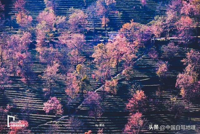 秋冬最被低估的旅居净土！收藏这份保姆级赏玩攻略，来了就不想走