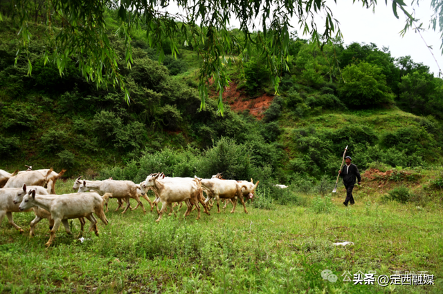 【图观陇西·新视角】陇西县碧岩镇：天然氧吧中的生态文旅新体验