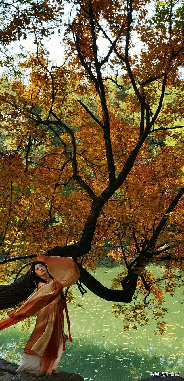 颐和园的枫叶红了