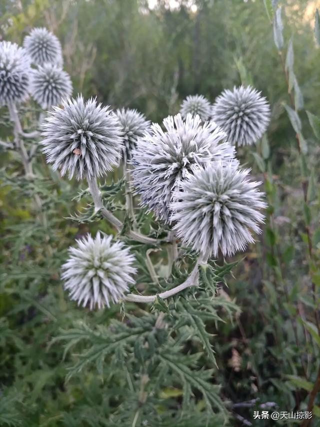 木垒行