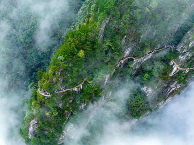 免票！持续到3月15日