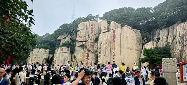 岱宗夫如何：看山不只是山