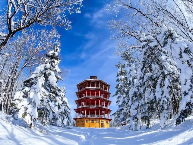 解锁鹤岗冬天：冰雪里的快乐密码