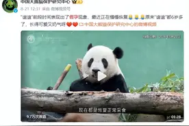 “福宝”健康问题引发网友担忧？官方首次回应图片