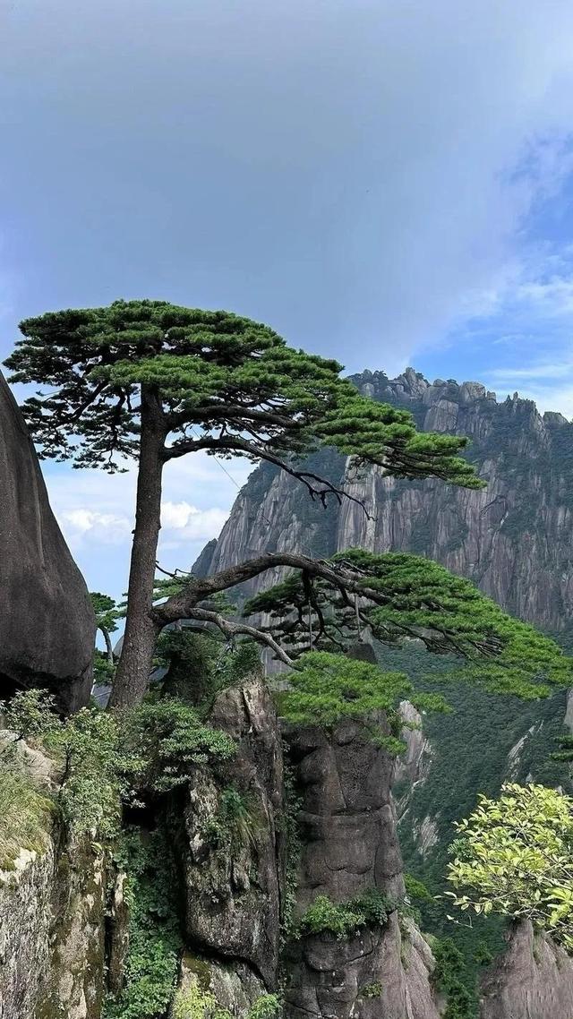 中国最赚钱的十个景点，游客越多，钞票越快进账？