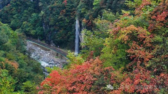 嘉陵江畔，静观一季秋色流转