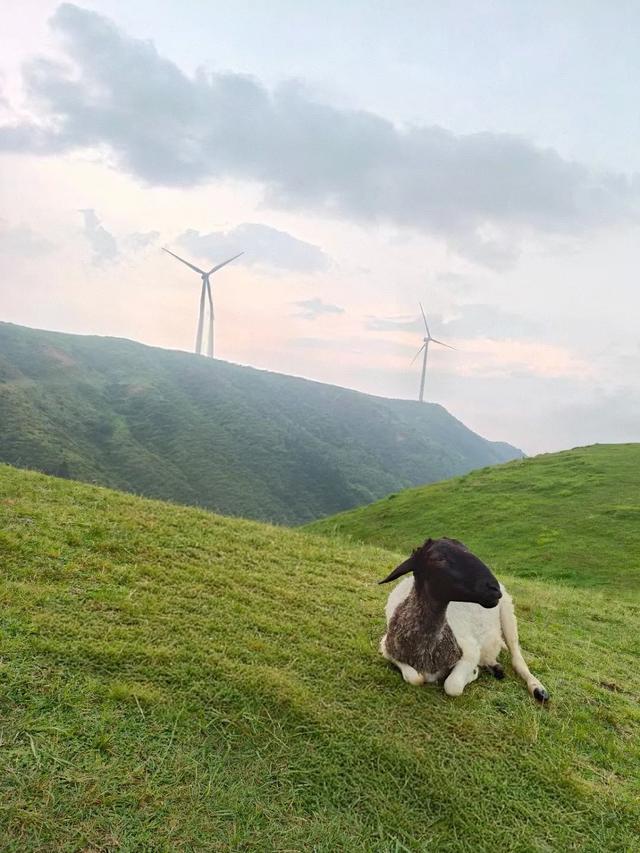 夏季均温20°C,广东人的后花园仰天湖大草原啦,离广东近