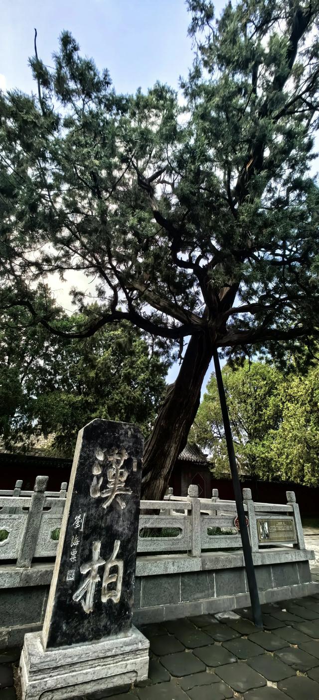 岱宗夫如何: 从前有座山