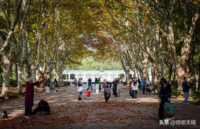 无锡这个免费大公园，又火了！