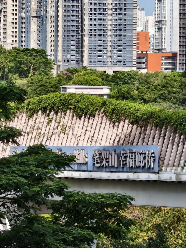 月底开业！深圳首家市内免税店来了！