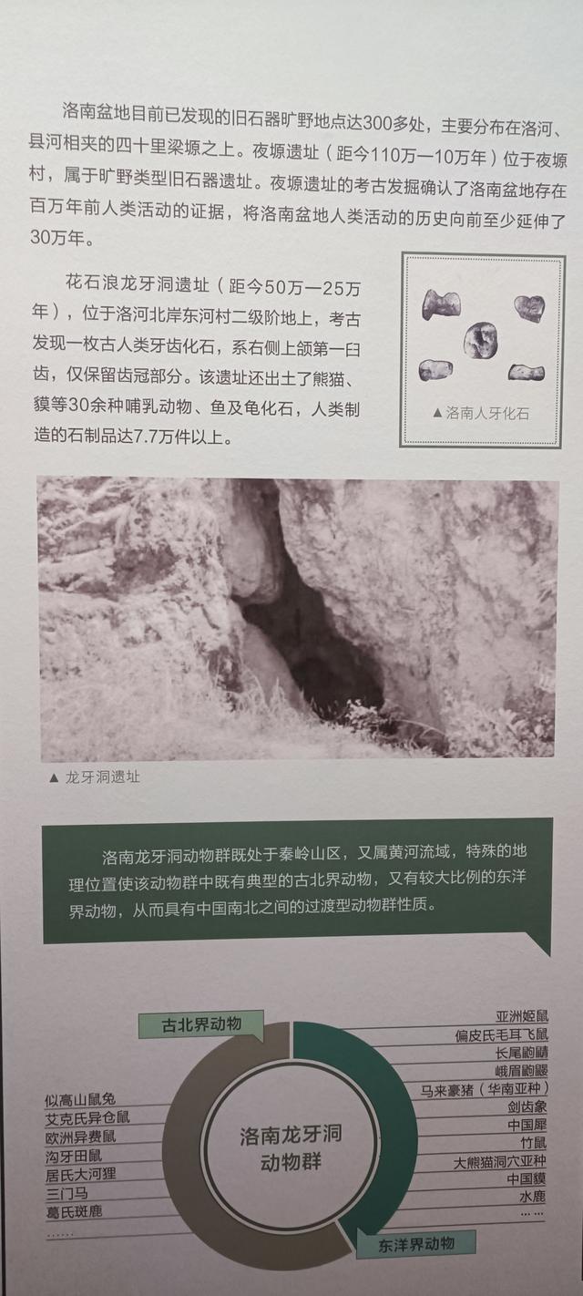 那么近，那么美，周末到商洛了——大美商洛秦岭博物馆