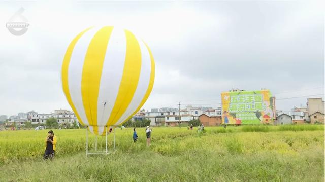 稻田摸鱼、品长街宴，想感受丰收的美好，来这儿就对了