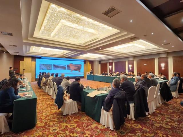 30多位专家连夜赶往现场,无锡挖出6000年古城,比杭州良渚早1000年