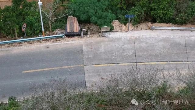 广东福建交界地带，马路界线分明，中间卡着一个鸟窝，属于哪里的