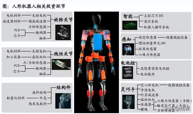 机器人为什么一定要像“人”？背后门道不简单！