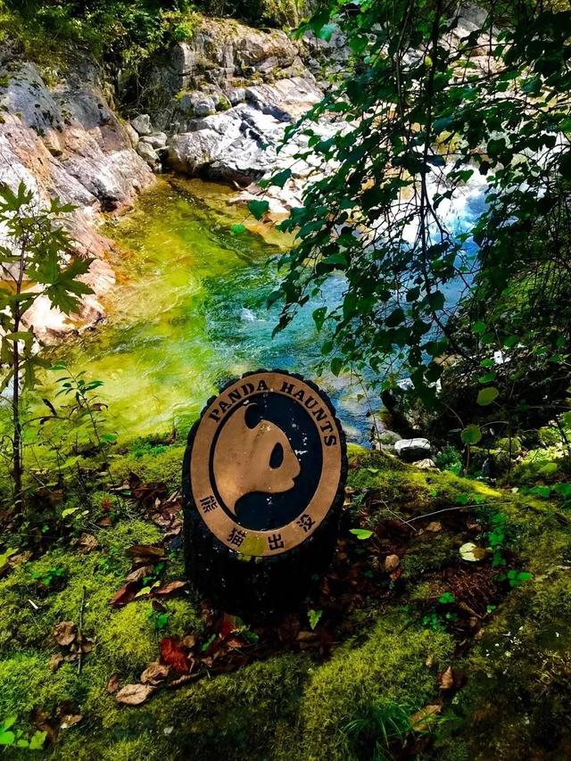 入伏了！黄柏塬带你走进19℃的夏天，云雾缭绕的山野避暑秘境