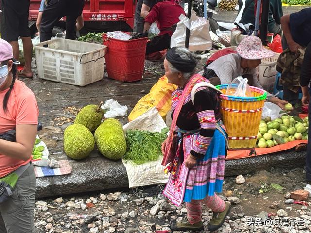 云南弥勒避暑旅游生活记录（一）