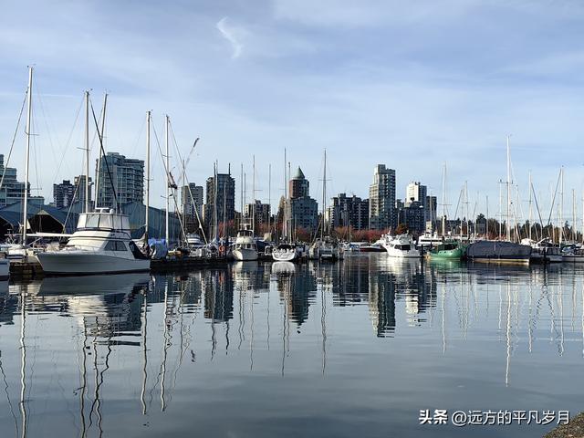 温哥华游记（四）