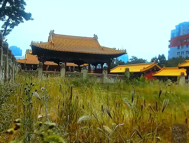 650年的古迹维修20年，最后还是烂尾，太原本地人竟然还不知道