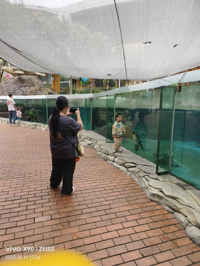 成都 极地海洋公园（58）2025年10月16日