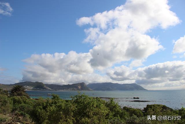 南部非洲：南非开普敦企鹅岛