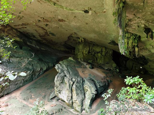 马来西亚(32)砂拉越州⑥世界遗产尼亚洞窟探险