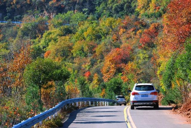 渑池坡头红叶拍摄记：一场迟来的秋日邂逅