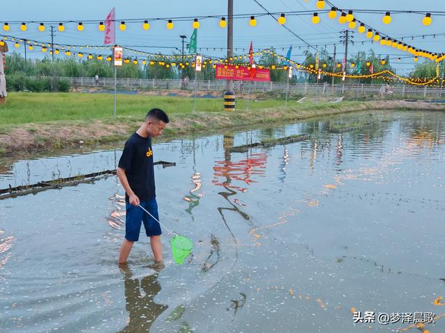 "鱼"悦盛夏 云梦陶楼庄园打造亲子避暑新体验