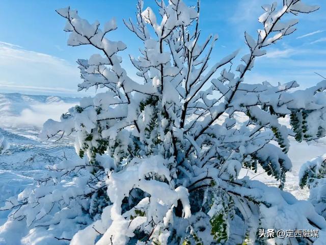 安定区：初雪漫山 与秋色撞个满怀