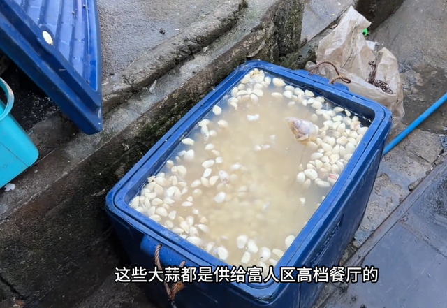 博主体验菲律宾生活，富人一餐500，穷人吃二手炸鸡，3平方睡10人